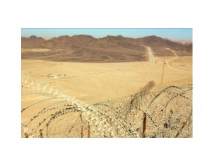 sinai desert