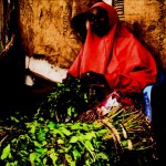 khat seller