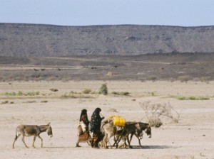 afar women