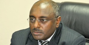Brehan-Hailu