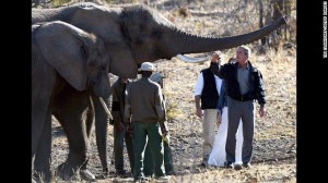 bush in africa
