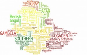 ethio political