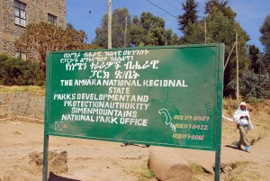 simen