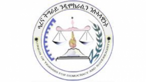 arena-tigray-logo