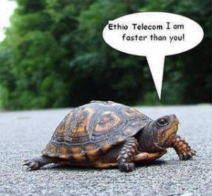 telecom t