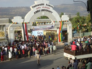 ambo university
