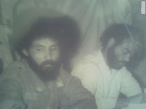 arkebe meles
