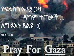 gaza