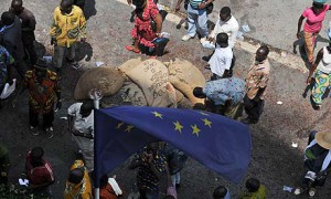 MDG : EU  and African countries trade agreements : Cocoa's growers in Abidjan, Ivory Coast