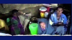 amhara sterilization2