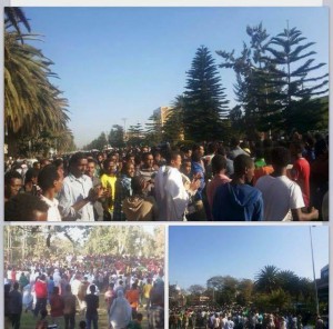 bahirdar9