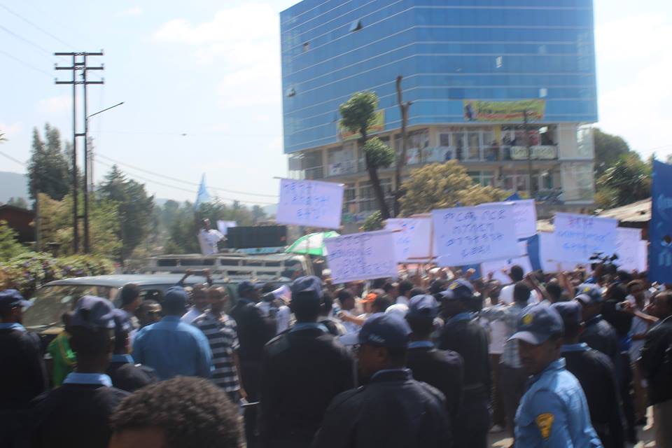 semayawi7