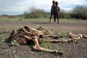 eTHIOPIA-worst-drought-of-africa-in-60-years