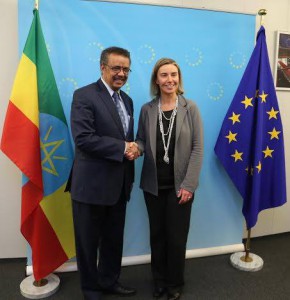 tedros and fredrica
