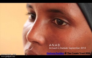 Ogaden 11