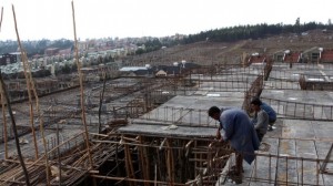 tplf-developers