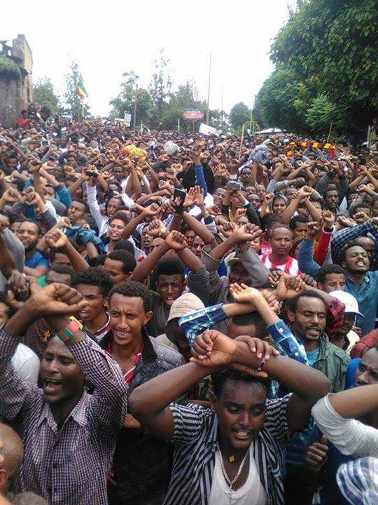 gondar3
