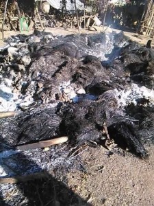 konso1