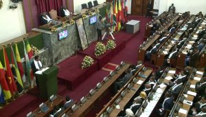 tplf-meeting-parl