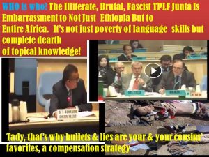 tedros
