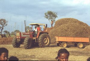 የጣና በለስ የአኩሪ አተር ምርት