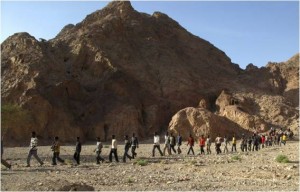 ከሲና የተረፉት የሲኦል ነዋሪዎች ጩኸት!!