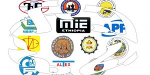 “EFFORTን” መውረስ የኢኮኖሚውን ጥገኛ ተውሳክ እንደማስወገድ ነው!