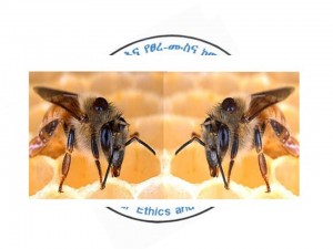 ኢህአዴግና ኢህአዴግ ተፈራርተዋል