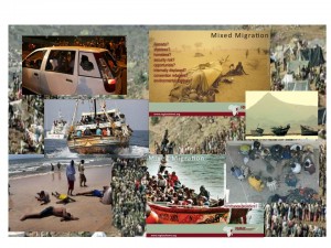 ከሶማሊያውያን የሚበልጡ ኢትዮጵያዊያን ተሰደዋል