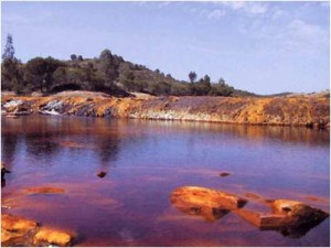 ለ ሃገር ሰው፣ የ“መድሃነ፥ኢትዮጵያ” ደወል፣ እውነቱም ይሰማ!