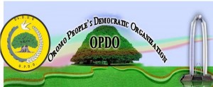 ጊዮን ሆቴል የተጠናቀቀው የኦህዴድ ድራማ!!