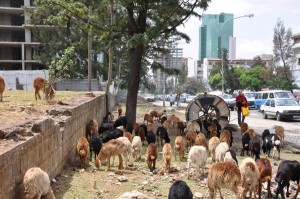 ሀገሬ ገመናሽ (ክፍል ሶስት)