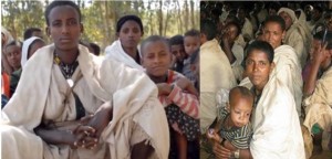 “አማራንና አማርኛን ማጥፋት የህወሃት ፕሮግራም ነው”