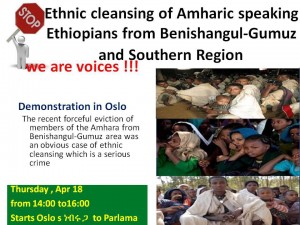 የሰላማዊ ሰልፍ ጥሪ