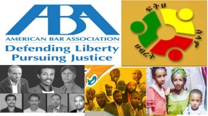 የአሜሪካ የህግ ባለሙያዎችና አኢጋን በኅብረት ስራ ጀመሩ!