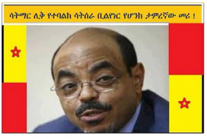 Meles Zenawi and our money
