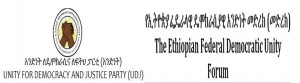 የአንድነት / መድረክ የፖለቲካ ግንኙነት እና የጋራ እንቅስቃሴ ከመቀናጀት እስከ ግንባር ያለው አጠቃላይ ሁኔታ ግምገማ