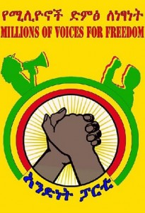 በዳያስፖራ የሚሊዮኖች ድምጽ ለነጻነት ግብረ ኃይል የተሰጠ መግለጫ