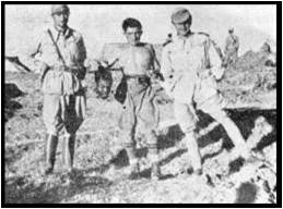 Appeal To Pope Francis I Re: A Vatican Justice Delayed For Over 75 Years