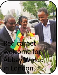 Tigray Republic flaunting her wealth at glittering TDA functions across the globe.