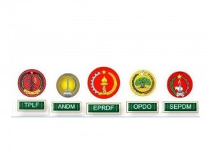 Open letter to OPDO, ANDM, SEPDF, SOMALI, GAMBELA, B.GUMUZ and AFAR