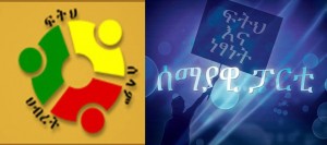 የጋራ ንቅናቄው ከሰማያዊ ፓርቲ ጎን ይቆማል!