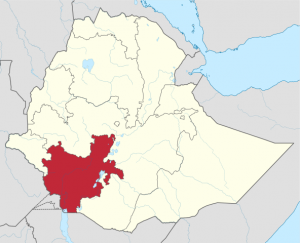 ደቡብ ክልል ሪፖርተርን በህግ እጠይቃለሁ አለ