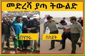 ወገኔ በከንቱ