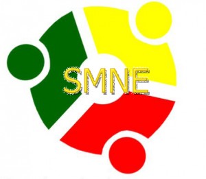 WHAT KIND OF LEADERSHIP IS NEEDED IN ETHIOPIA TO AVERT ETHNIC VIOLENCE AT THIS TIME OF CRISIS?