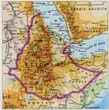 የኢትዮጵያ ሃገራዊ ንቅናቄ ተመሠረተ