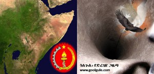 ኢህአዴግ የአፍሪካ ቀንድ ስጋት?