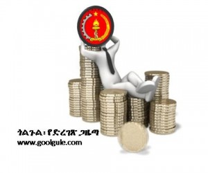 ኢህአዴግ – ሌባ ወይስ አገር አስተዳዳሪ?