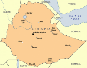 ዜጎች በጎጃም መሬቸውን እየተነጠቁ፤ በወለጋ ደግሞ እየተፈናቀሉ ነው!