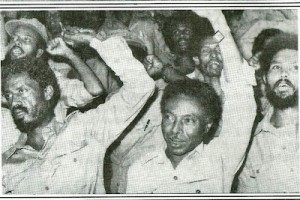 The TPLF Should Face an Immediate, Complete & Independent Investigations